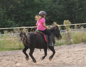 Reitverein Grunholz